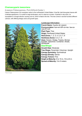 Chamaecyparis Lawsoniana (Lawson Falsecypress, Port-Orford-Cedar ) Lawson Falsecypress Is an Evergreen Native to the Northwestern United States