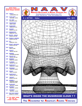 What's Inside the Mushroom Cloud
