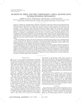 Rudists of Tibet and the Tarim Basin, China: Significance to Requieniidae Phylogeny