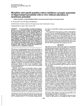 Morphine and Opioid Peptides Reduce Inhibitory Synaptic Potentials in Hippocampal Pyramidal Cells in Vitro Without Alteration Of