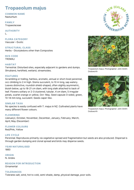 Tropaeolum Majus