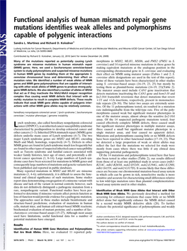 Functional Analysis of Human Mismatch Repair Gene Mutations Identiﬁes Weak Alleles and Polymorphisms Capable of Polygenic Interactions