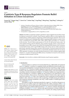 Cytokinin Type-B Response Regulators Promote Bulbil Initiation in Lilium Lancifolium