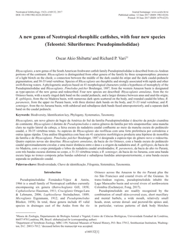 A New Genus of Neotropical Rheophilic Catfishes, with Four New Species (Teleostei: Siluriformes: Pseudopimelodidae)