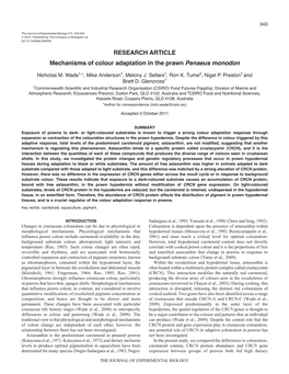 Mechanisms of Colour Adaptation in the Prawn Penaeus Monodon