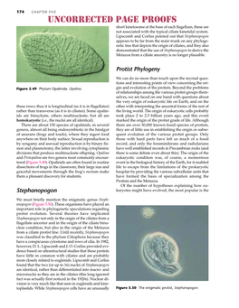 Protist Phylogeny