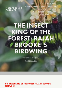 The Insect King of the Forest: Rajah Brooke's Birdwing