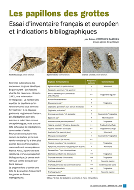 Les Papillons Des Grottes Essai D’Inventaire Français Et Européen Et Indications Bibliographiques Par Ruben CENTELLES BASCUAS Groupe Agenais De Spéléologie