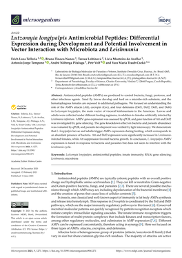 Lutzomyia Longipalpis Antimicrobial Peptides