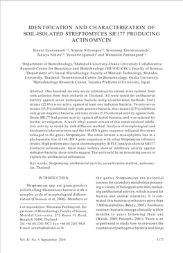 Identification and Characterization of Soil-Isolated Streptomyces Sje177 Producing Actinomycin