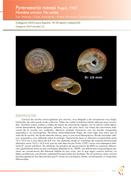 Pyrenaearia Navasi Fagot, 1907 Nombre Común: No Existe Tipo: Mollusca / Clase: Gastropoda / Orden: Pulmonata / Familia: Hygromiidae