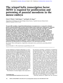 The Winged Helix Transcription Factor Mfhl Is Required for Proliferation and Patterning of Paraxial Mesoderm in the Mouse Embryo