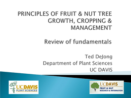 Using Computer Technology to Study, Understand and Teach How Trees Grow