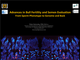 Advances in Bull Fertility and Semen Evaluation from Sperm Phenotype to Genome and Back