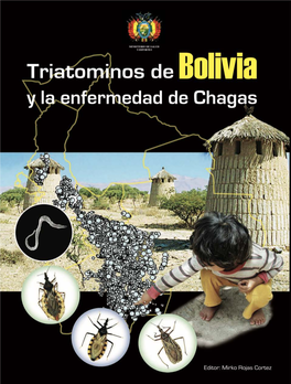 En Bolivia: Pág