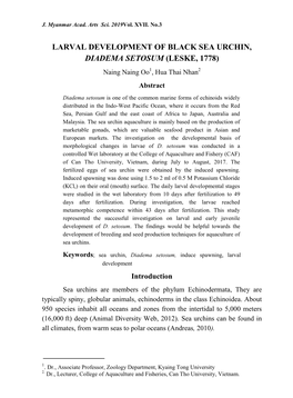 Larval Development of Black Sea Urchin, Diadema Setosum