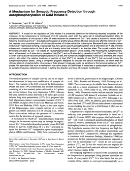 A Mechanism for Synaptic Frequency Detection Through Autophosphorylation of Cam Kinase 11