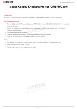 Mouse Cox6b2 Knockout Project (CRISPR/Cas9)