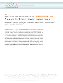 A Natural Light-Driven Inward Proton Pump