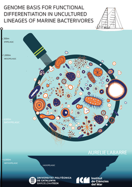 Genome Basis for Functional Differentiation in Uncultured Lineages of Marine Bacterivores