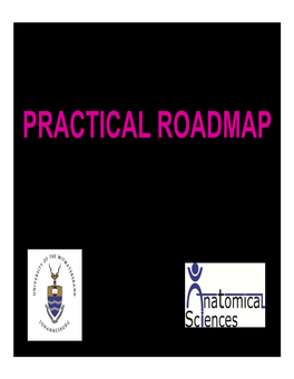 Practical Roadmap