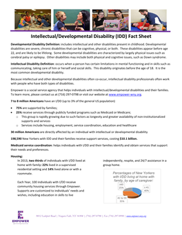 Intellectual/Developmental Disability (IDD) Fact Sheet