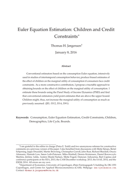 Euler Equation Estimation: Children and Credit Constraints ∗