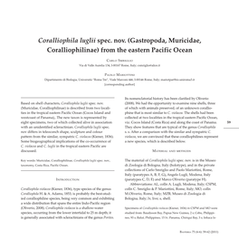 Coralliophila Luglii Spec. Nov. (Gastropoda, Muricidae, Coralliophilinae) from the Eastern Pacific Ocean