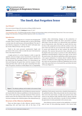 The Smell, That Forgotten Sense