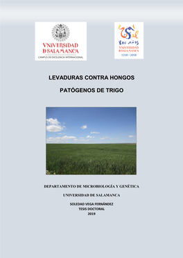 Levaduras Contra Hongos Patógenos De Trigo