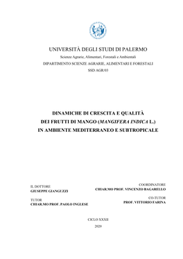 Tesi Gianguzzi G. DEFINITIVA.Pdf