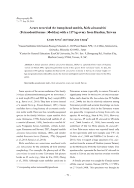 A Rare Record of the Bump-Head Sunfish, Mola Alexandrini (Tetraodontiformes: Molidae) with a 117 Kg Ovary from Hualien, Taiwan