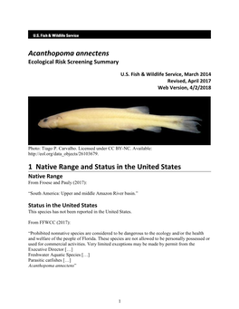 Acanthopoma Annectens Ecological Risk Screening Summary