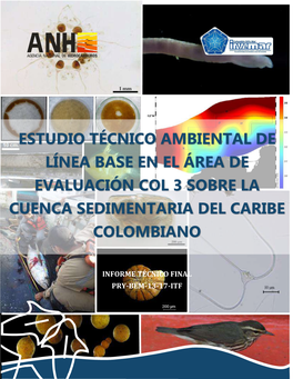 Estudio Técnico Ambiental De Línea Base En El Área De Evaluación Col 3 Sobre La Cuenca Sedimentaria Del Caribe Colombiano