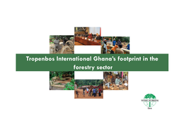 Tropenbos International Ghana's Footprint in the Forestry Sector