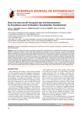 Dung Pad Size and Ball Production by Scarabaeus Sacer (Coleoptera: Scarabaeidae: Scarabaeinae)