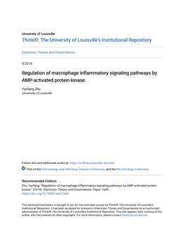 Regulation of Macrophage Inflammatory Signaling Pathways by AMP-Activated Protein Kinase