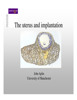 The Uterus and Implantation