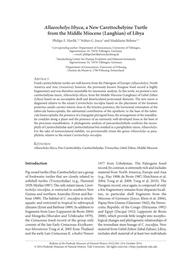 Allaeochelys Libyca, a New Carettochelyine Turtle from the Middle Miocene (Langhian) of Libya Philipe E