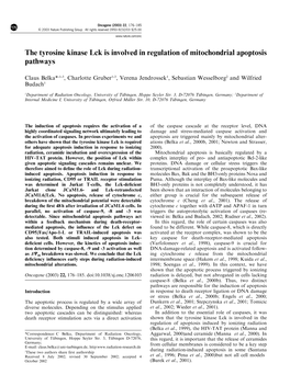 The Tyrosine Kinase Lck Is Involved in Regulation of Mitochondrial Apoptosis Pathways