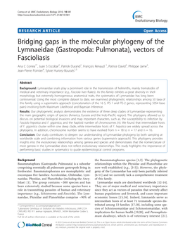 Bridging Gaps in the Molecular Phylogeny of the Lymnaeidae (Gastropoda: Pulmonata), Vectors of Fascioliasis