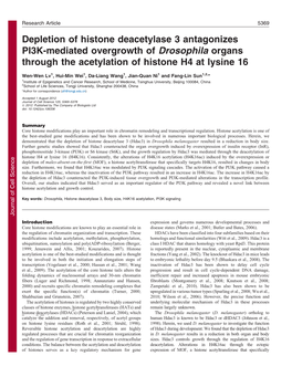 Depletion of Histone Deacetylase 3 Antagonizes PI3K-Mediated