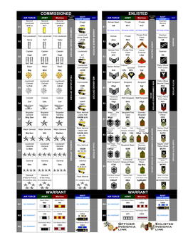 Warrant Enlisted Commissioned Warrant