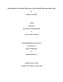 Determinants of Testicular Echotexture in the Sexually Immature Ram Lamb