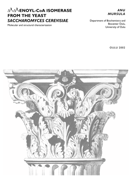 Δ3-Δ2-Enoyl-Coa Isomerase from the Yeast Saccharomyces Cerevisiae. Molecular and Structural Characterization
