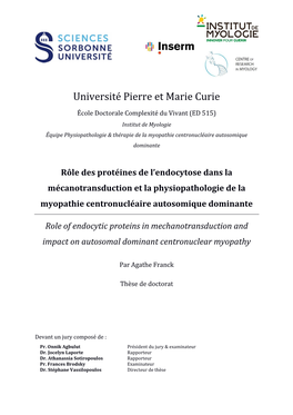 Rôle Des Protéines De L'endocytose Dans La Mécanotransduction Et La