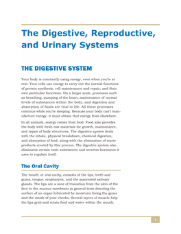 The Digestive, Reproductive, and Urinary Systems