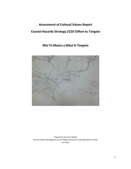 Cultural Values Report