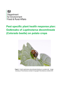 Pest Specific Plant Health Response Plan: Outbreaks of Leptinotarsa Decemlineata (Colorado Beetle) on Potato Crops