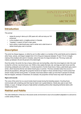 Arctic-Fox-En.Pdf